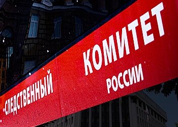 СКР проведет проверку по факту аварии с рязанским автобусом в Подмосковье